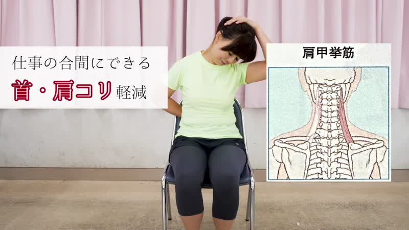 株式会社けんこう総研 